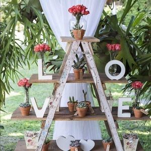 Meet your Posher, Rosa